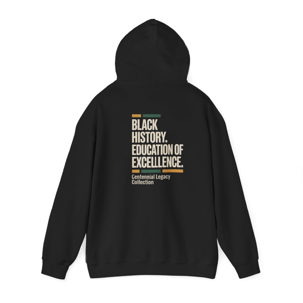Black History Education of Excellence Hoodie – Centennial Legacy Collection