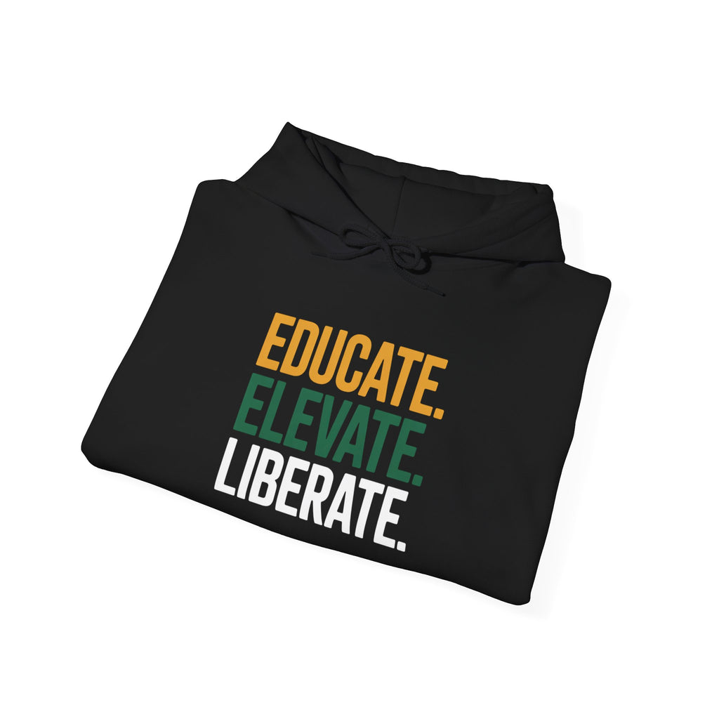 Black History Education of Excellence Hoodie – Centennial Legacy Collection